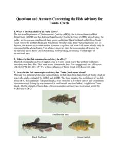 Questions and Answers Concerning Fish Advisory for