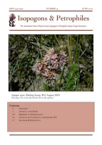 Isopogon / Petrophile pulchella / Petrophile / Australian Native Plants Society / Proteaceae / Isopogon dawsonii / Eudicots / Plant taxonomy / Flora of New South Wales