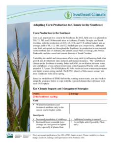 Adapting Corn Production to Climate in the Southeast Corn Production in the Southeast Corn is an important row crop in the Southeast. In 2012, field corn was planted on 310, 75, 345, and 330 thousand acres in Alabama, Fl