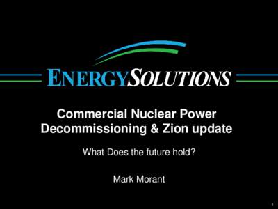Commercial Nuclear Power Decommissioning & Zion update What Does the future hold? Mark Morant 1