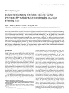 The Journal of Neuroscience, November 4, 2009 • 29(44):13751–13760 • [removed]Behavioral/Systems/Cognitive Functional Clustering of Neurons in Motor Cortex Determined by Cellular Resolution Imaging in Awake