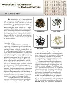 Oxidation & Fermentation 				 in Tea Manufacture By Robert J. Heiss