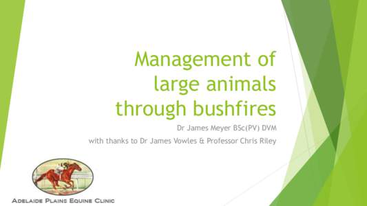 Management of large animals through bushfires Dr James Meyer BSc(PV) DVM with thanks to Dr James Vowles & Professor Chris Riley