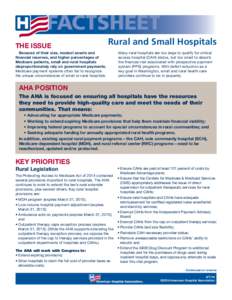 FACTSHEET THE ISSUE Rural and Small Hospitals  Because of their size, modest assets and