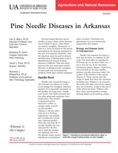 Pine Needle Diseases in Arkansas - FSA-5022