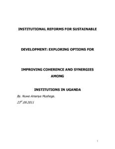INSTITUTIONAL REFORMS FOR SUSTAINABLE  DEVELOPMENT: EXPLORING OPTIONS FOR IMPROVING COHERENCE AND SYNERGIES AMONG