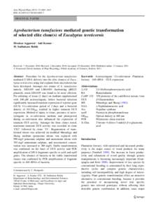 Acta Physiol Plant:1603–1611 DOIs11738ORIGINAL PAPER  Agrobacterium tumefaciens mediated genetic transformation