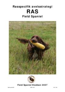 STOLPAR  till Avelspolicy och rasspecifik avelsstrategi för Field Spaniel