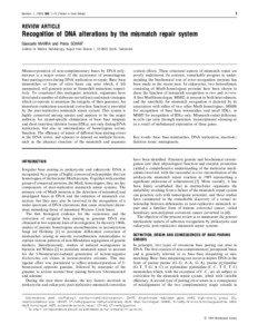 DNA mismatch repair / Dam / MutS-1 / Very short patch repair / DNA methylation / DNA replication / Proliferating cell nuclear antigen / MSH3 / DNA / Biology / DNA repair / Genetics