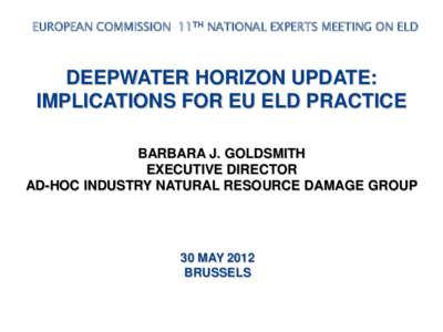 EUROPEAN COMMISSION 11TH NATIONAL EXPERTS MEETING ON ELD  DEEPWATER HORIZON UPDATE: IMPLICATIONS FOR EU ELD PRACTICE BARBARA J. GOLDSMITH EXECUTIVE DIRECTOR