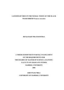 Biochemistry / Chemistry / Laboratory techniques / Polymerase chain reaction / Penaeus / Reverse transcription polymerase chain reaction / Reverse transcriptase / Black Tiger / Virus / Biology / Molecular biology / Dendrobranchiata