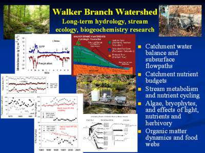 Walker Branch Watershed Long-term hydrology, aquatic ecology, biogeochemistry