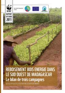 EN PARTENARIAT AVEC : Reboisement Bois Energie dans le Sud Ouest de Madagascar Le bilan de trois campagnes