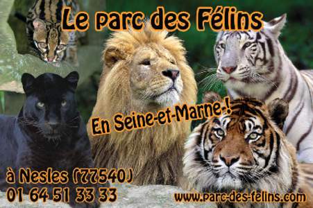 60 Hectares de bonheur pour les Félins et leurs adeptes ! ◆ Venez visiter le seul parc européen spécialiste des félins et découvrir des animaux envoûtants vivants dans de vastes enclos naturels.