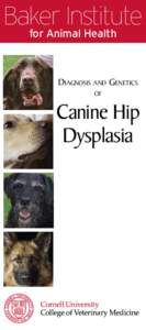 Baker Institute for Animal Health Diagnosis and Genetics of
