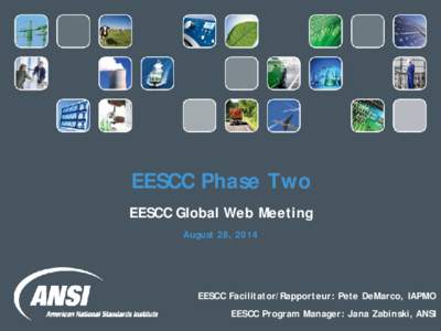 EESCC Phase Two EESCC Global Web Meeting August 28, 2014 EESCC Facilitator/Rapporteur: Pete DeMarco, IAPMO EESCC Program Manager: Jana Zabinski, ANSI