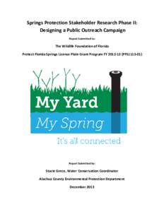 Springs Protection Stakeholder Research Phase II: Designing a Public Outreach Campaign Report Submitted to: The Wildlife Foundation of Florida Protect Florida Springs License Plate Grant Program FYPFS1113-01)