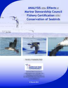 ANALYSIS of the Effects of Marine Stewardship Council Fishery Certification on the Conservation of Seabirds  Black-capped Petrel: Bill Hubick
