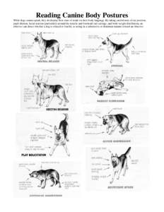 Reading Canine Body Postures While dogs cannot speak, they do display their state of mind via their body language. By taking careful note of ear position, pupil dilation, facial tension (particularly around the muzzle an