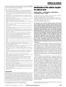 Anthrax toxin / Microbiology / Antibody / B cell / Chinese hamster ovary cell / Anthrax / Tumor necrosis factor-alpha / Diphtheria toxin / Protein targeting / Biology / T cells / Immune system