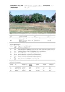 back Soil landform map unit: Land element: FLP2; Floodplain, type 2, Ovens River