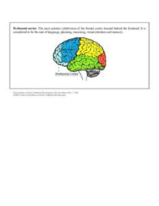 Prefrontal cortex: The most anterior subdivision of the frontal cortex located behind the forehead. It is considered to be the seat of language, planning, reasoning, visual attention and memory. Encyclopedia on Early Chi