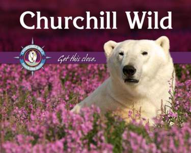 Churchill Wild Get this close. Table of Contents Introduction to Churchill Wild