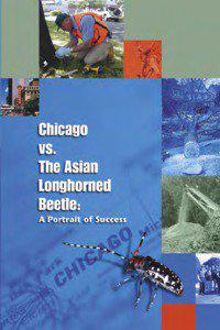 Chicago vs. The Asian Longhorned Beete:  A Portrait of Success