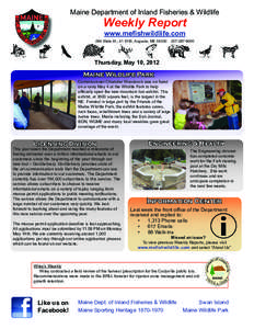 Maine	Department	of	Inland	Fisheries	&	Wildlife  Weekly Report www.meﬁshwildlife.com  284	State	St.,	41	SHS,	Augusta,	ME	04330				207[removed]