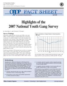 Highlights of the 2007 National Youth Gang Survey