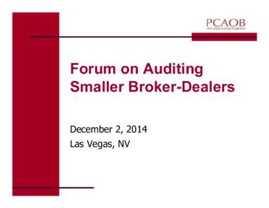 Forum on Auditing Smaller Broker-Dealers December 2, 2014 Las Vegas, NV  Caveat