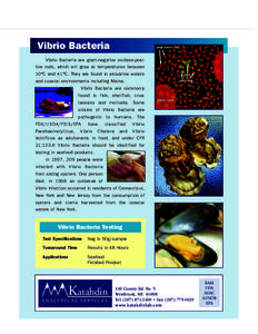 Vibrio Bacteria Vibrio Bacteria are gram-negative oxidase-positive rods, which will grow at temperatures between 10°C and 41°C. They are found in estuarine waters and coastal environments including Maine. Vibrio Bacter