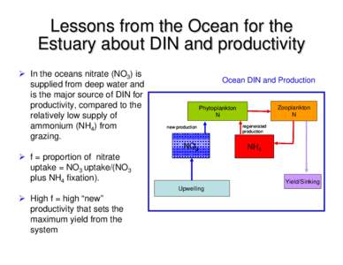 Lessons from the Ocean for the Estuary about DIN and productivity ¾ In the oceans nitrate (NO3) is supplied from deep water and is the major source of DIN for productivity, compared to the
