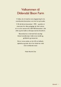 Velkommen til Ditlevsdal Bison Farm Vi håber, du vil mærke vores begejstring for de amerikanske bisonokser, som bor her på stedet. Vi fik de første bisonokser i 1993 – og siden er interessen for disse prægtige dyr