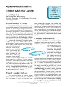 Triploid Chinese Catfish  Page 1 Aquafarmer Information Sheet: