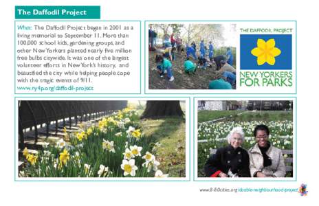 The Daffodil Project_low res