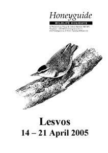 Lesvos 14 – 21 April 2005