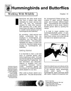 Number 20 Backyards and other small areas may have a limited value when managing for larger species like deer, but they are extremely valuable for many other species.