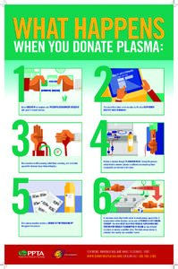 WHAT HAPPENS WHEN YOU DONATE PLASMA : 1 3