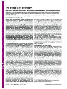 The genetics of geometry Enrico Coen*†, Anne-Gae¨lle Rolland-Lagan*‡, Mark Matthews§, J. Andrew Bangham‡, and Przemyslaw Prusinkiewicz§ *Department of Cell and Developmental Biology, John Innes Centre, Colney La