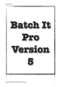 Batch It Pro 6    Batch It Pro Version 