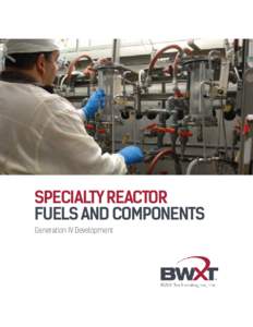 SPECIALTY REACTOR FUELS AND COMPONENTS Generation IV Development SPECIALTY REACTOR FUELS AND COMPONENTS