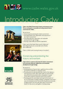 Archaeology / Cadw / Town and country planning in the United Kingdom / Welsh Archaeological Trusts / Scheduled monument / Royal Commission on the Ancient and Historical Monuments of Wales / Dyfed Archaeological Trust / Gwynedd Archaeological Trust / National Monuments Record / History of the United Kingdom / United Kingdom / English Heritage
