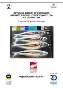 Microsoft Word - Final Report_Sardine Flow Ice draft rm tw.doc