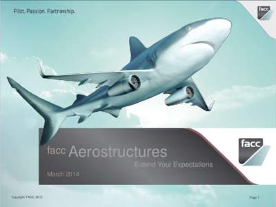 facc Aerostructures Extend Your Expectations March 2014 Copyright FACC, 2012
