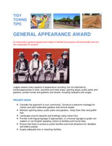 TIDY TOWNS TIPS GENERAL APPEARANCE AWARD A community’s general appearance helps to identify its purpose and personality and can