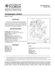 Fact Sheet FPS-164  October, 1999 Cymbopogon citratus1 Edward F. Gilman2