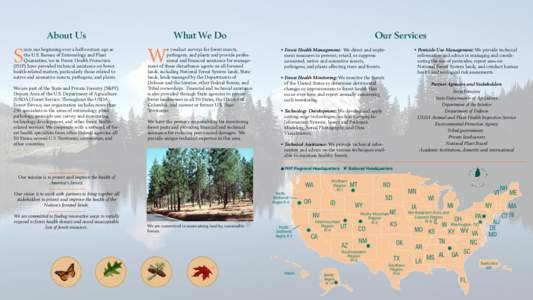 United States National Forest / State and Private Forestry / Economy of the United States / Agriculture in the United States / USDA Forest Service / United States Forest Service / Forestry