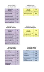 SEMESTER 1 YEAR 1 FALL CORE COURSES SEMESTER 1 YEAR 1 FALL ELECTIVE COURSES