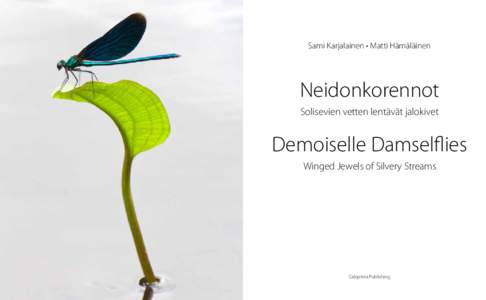 Neidonkorennot / Demoiselle Damselflies